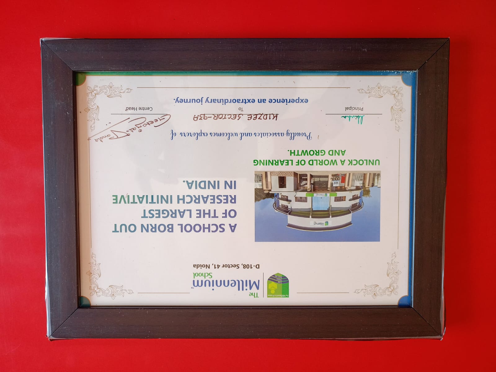 certificate7